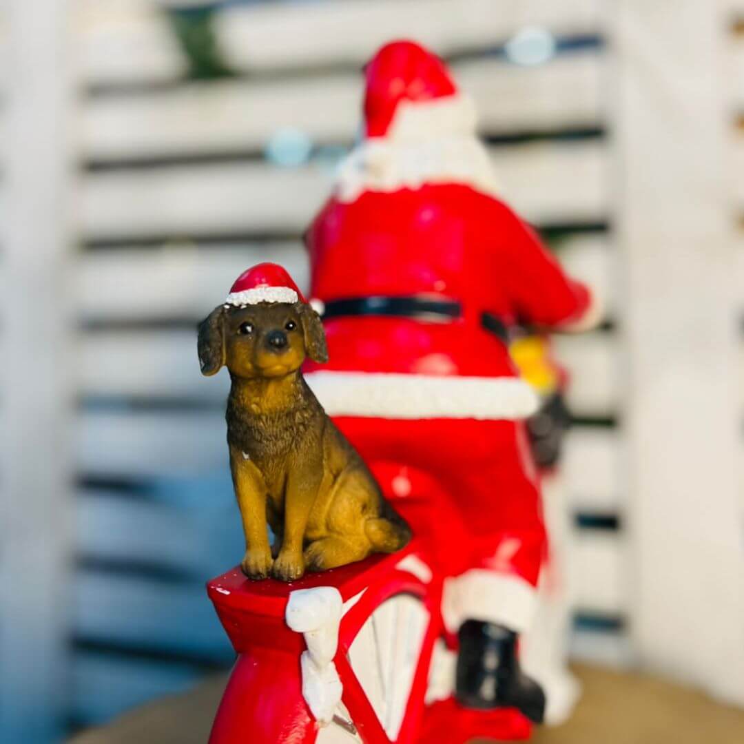 Noel Bicicleta Com Cachorro - 32cm