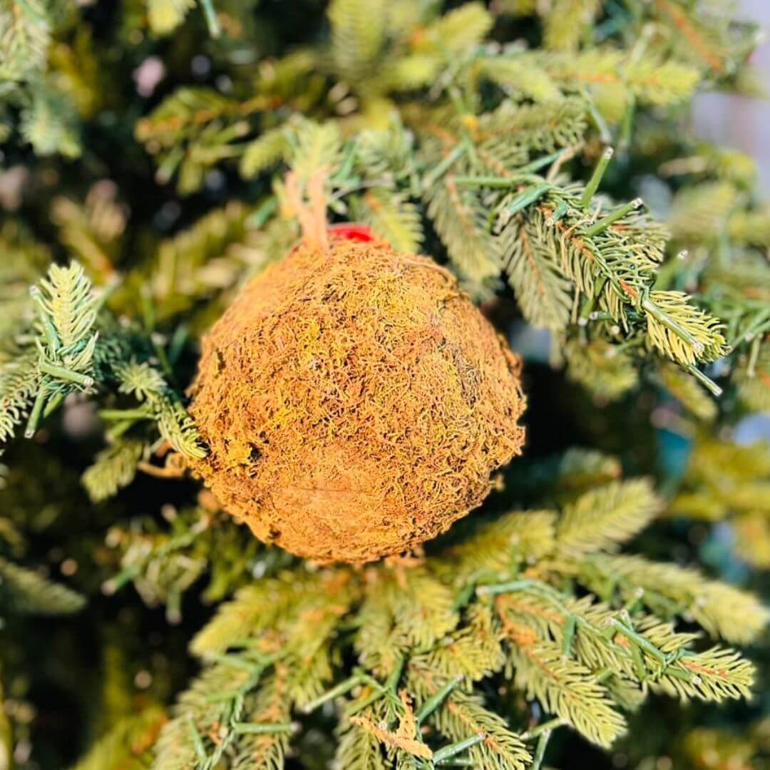 Dec Bola Musgo Verde- 15cm C/1 Un
