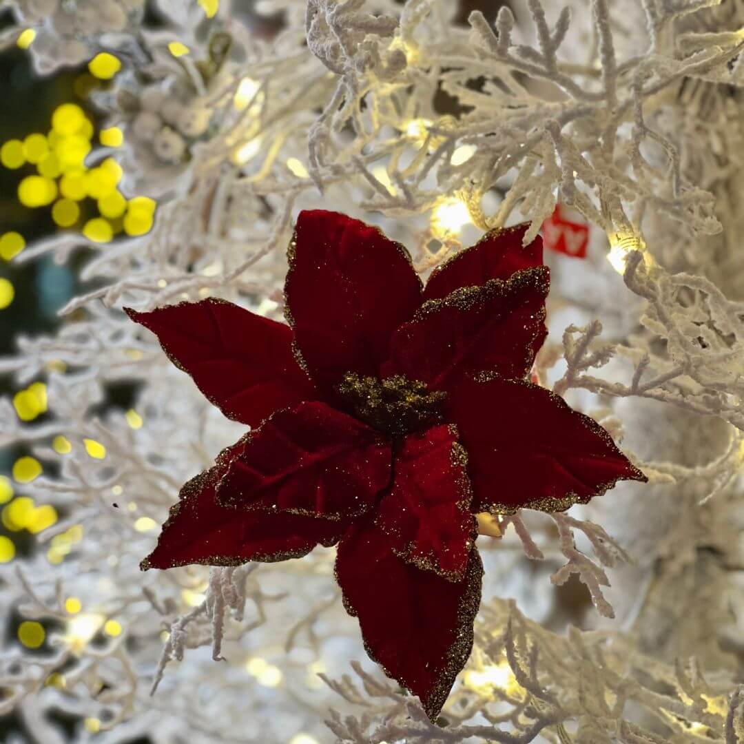 POINSETIA VERMELHO COM GLITTER X 9 - ALT 27 X DIAM 20 CM