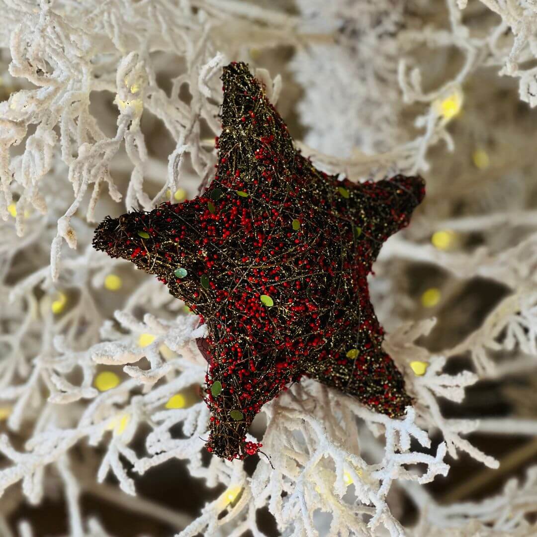 Estrela Aramada em Cipó – 20cm