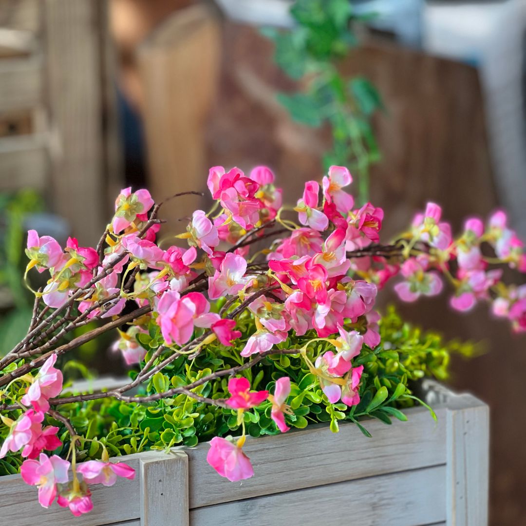 Haste de Cerejeira Delicada - 100cm