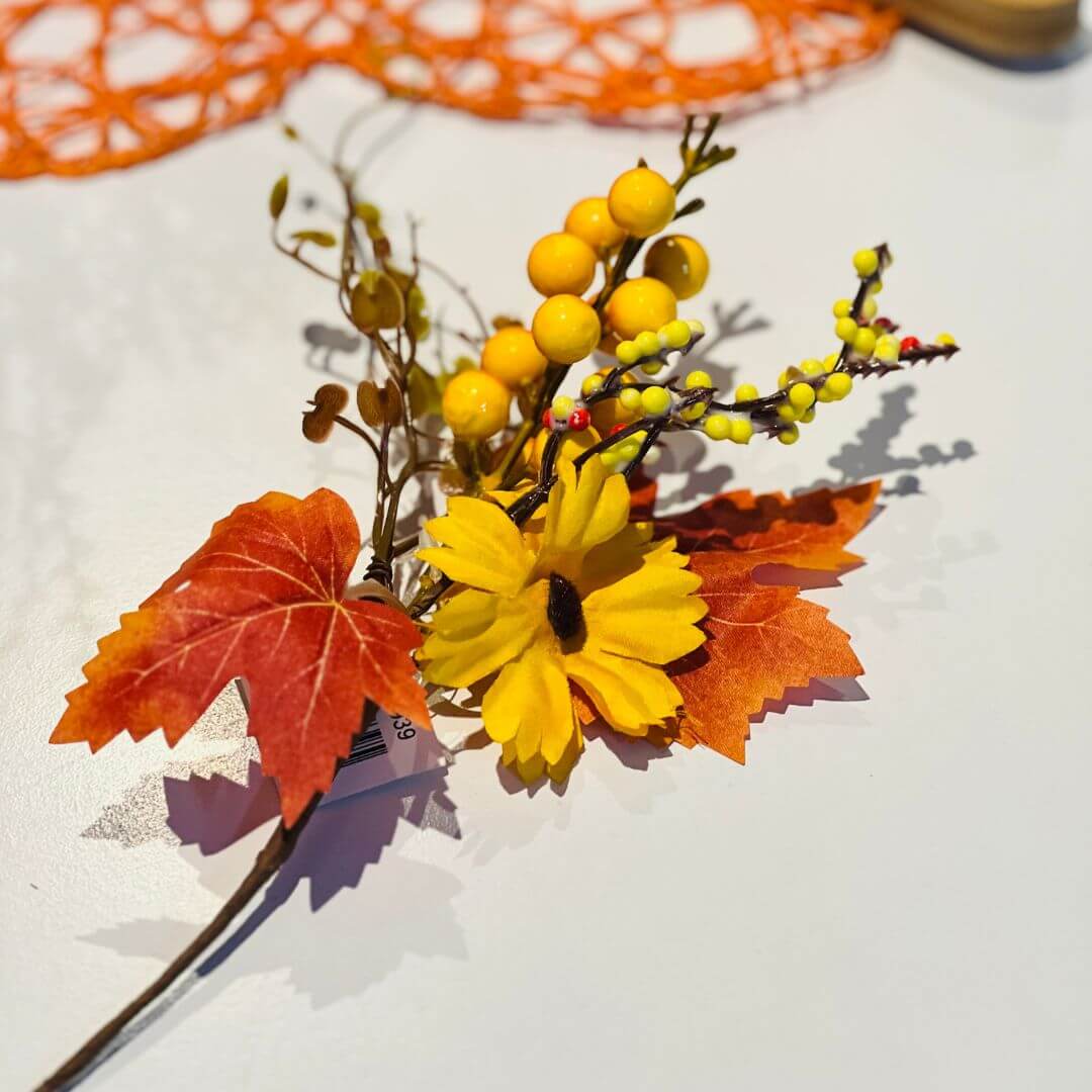 Pick Sunflower