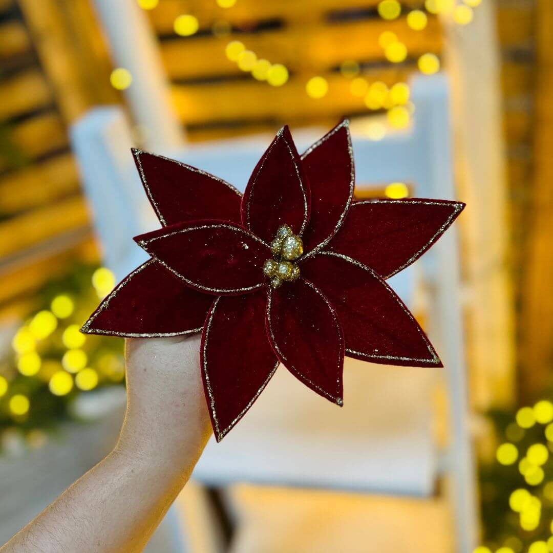 Bico de Papagaio de Veludo Vermelho – 20cm