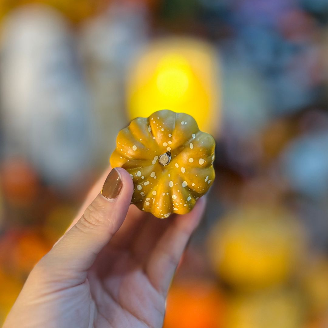 Conjunto de 12 Peças Halloween Abóbora Mini - Laranja