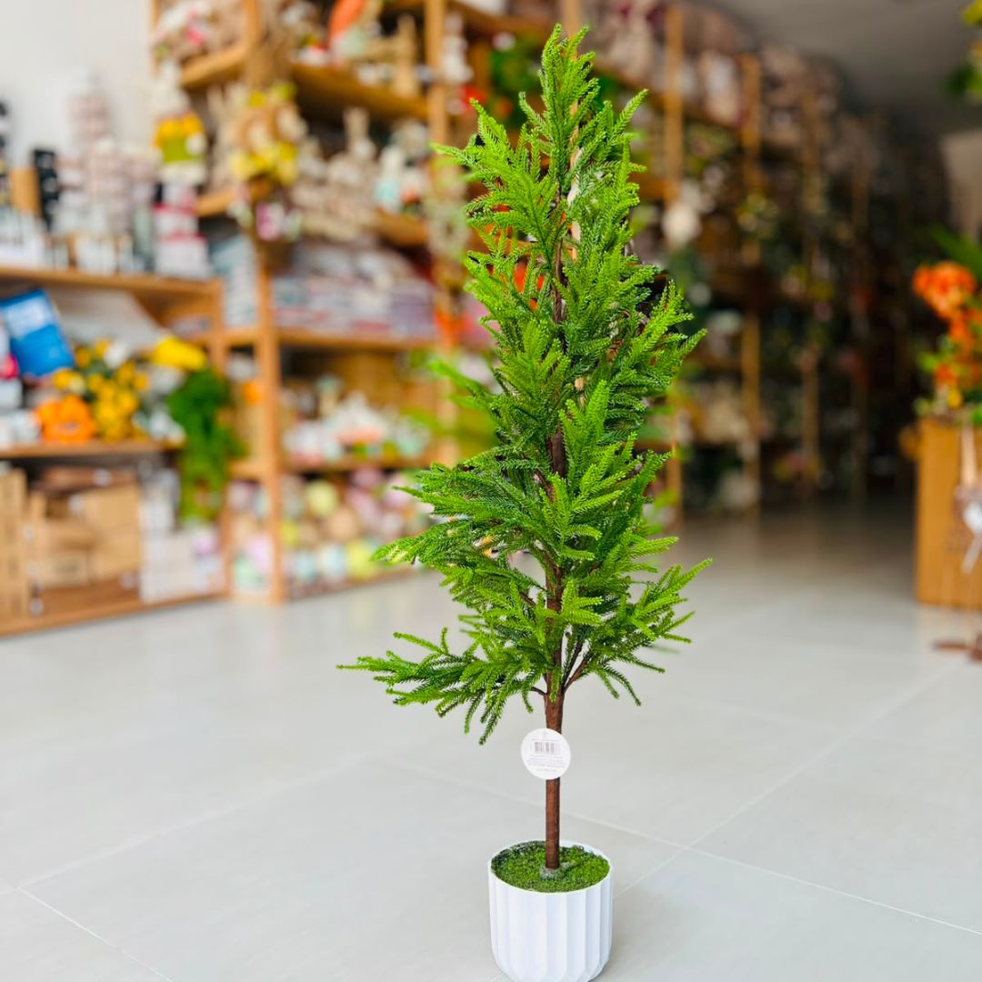 Mini Pinheiro com Cachepot - 35 cm