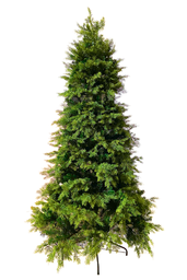 Árvore Natalina - 210cm - 1012 Galhos Mixado Pvc + Silicone - 450 Leds - Linha Esmeralda