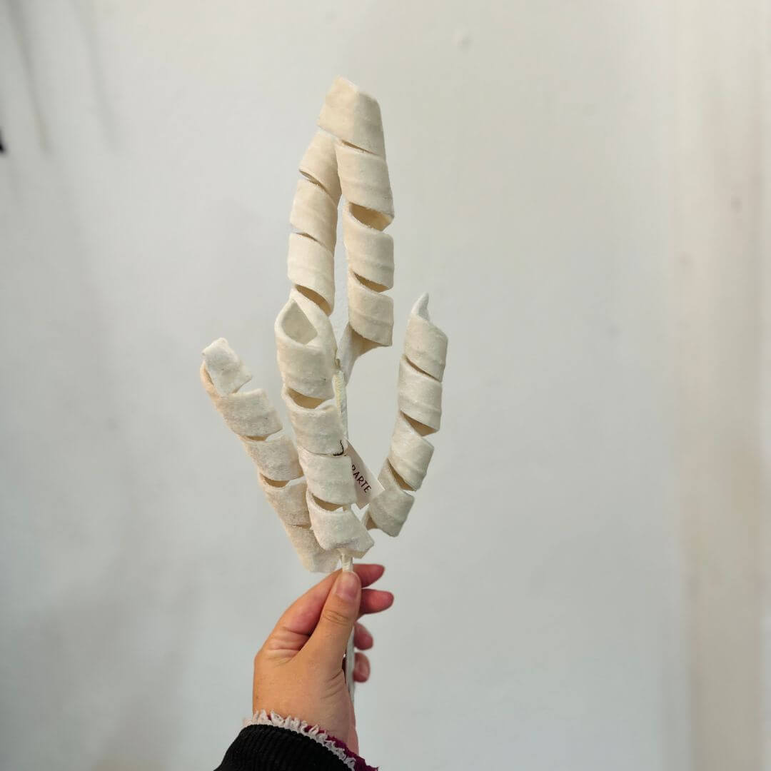 Galho Espiral Off White – 48cm
