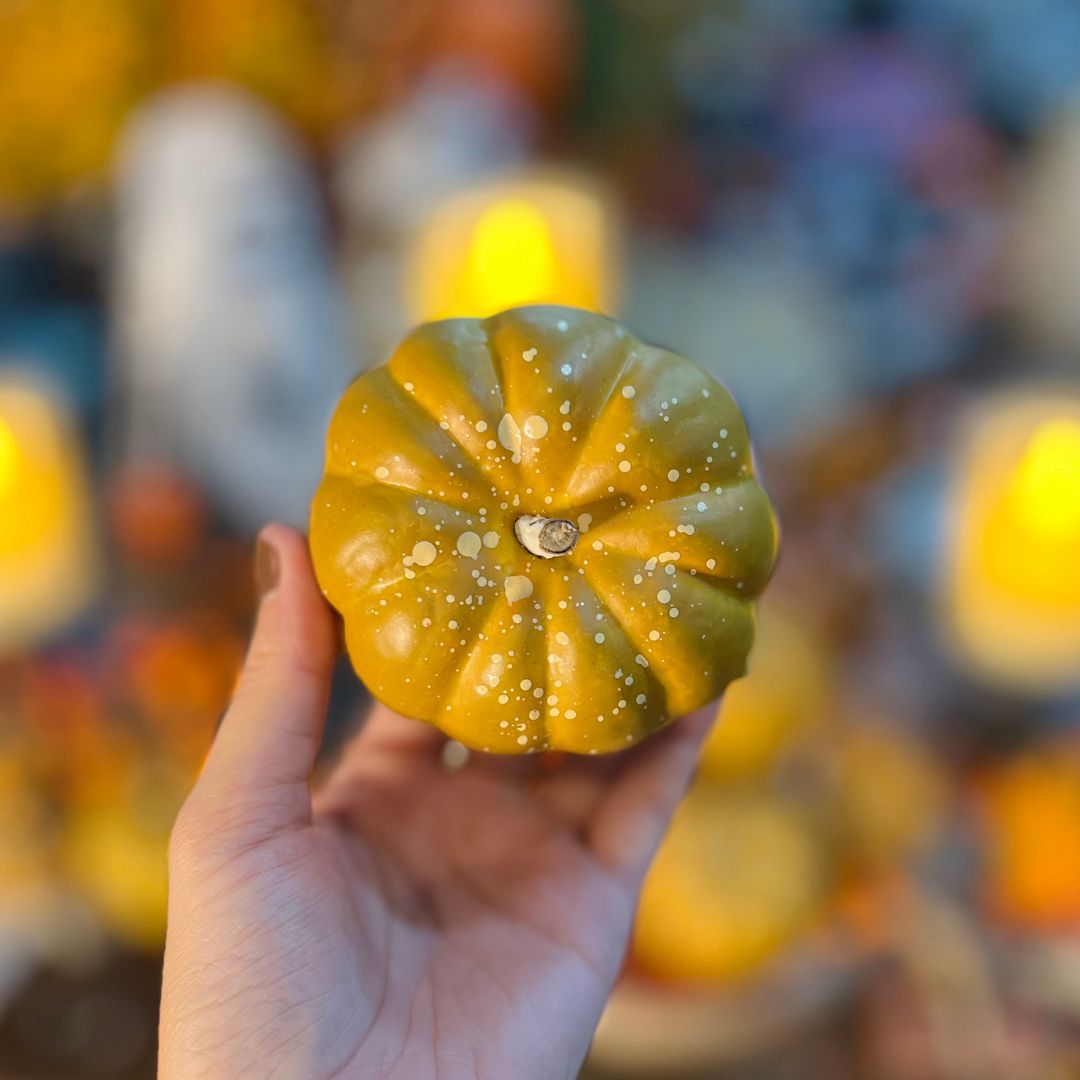 Conjunto de 12 Peças Halloween Abóbora Mini - Laranja