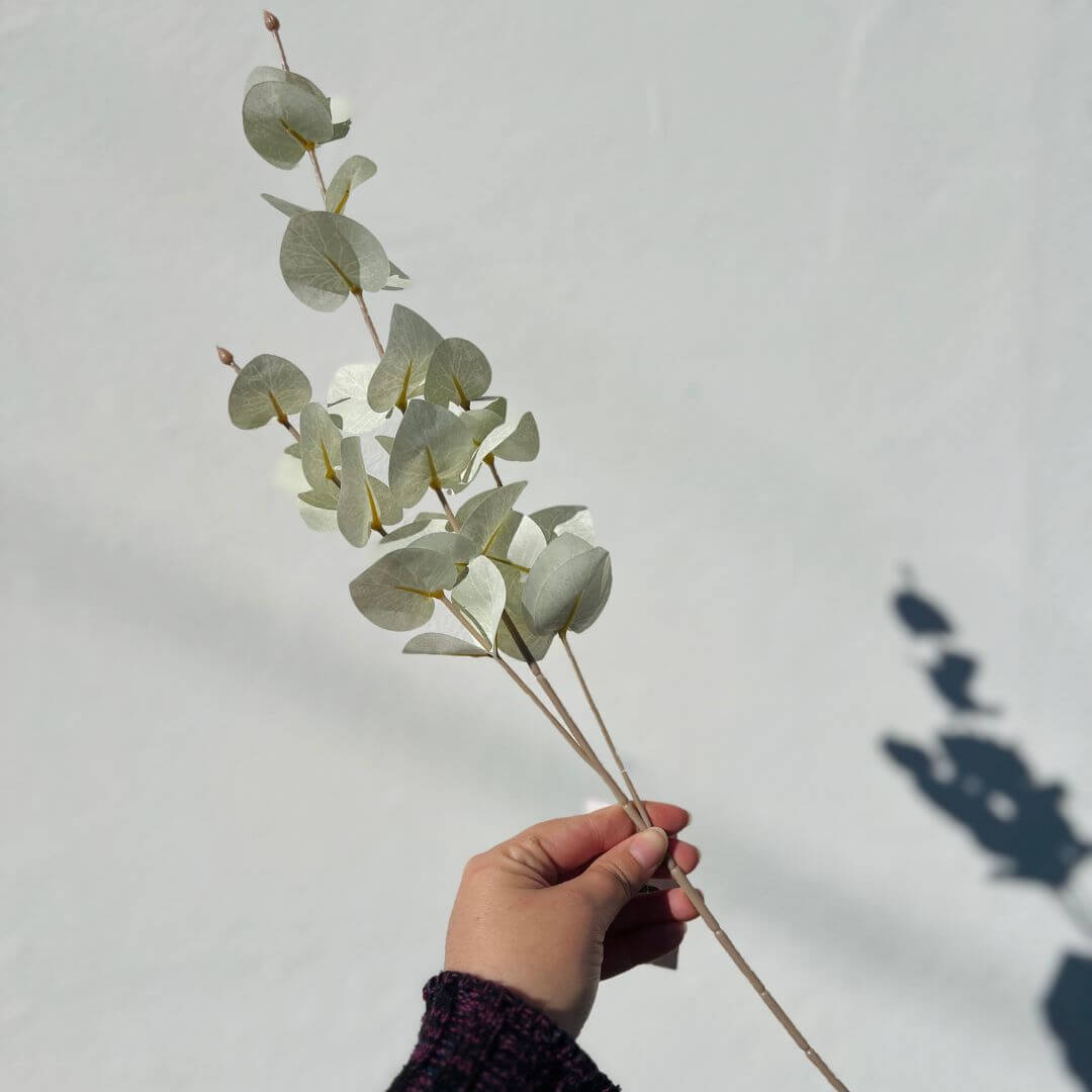 Haste Eucalipto – 65cm