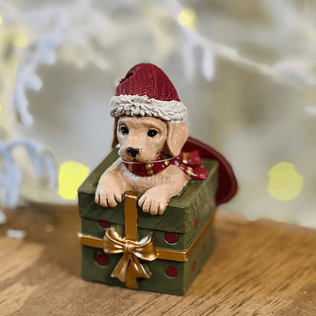 Decoração Cachorro com Gorro e Caixa de Presente - 10,5cm