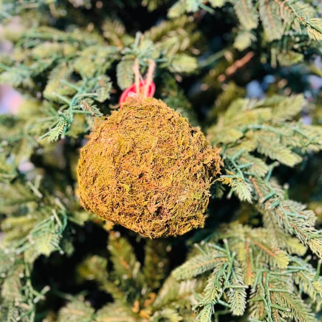 Dec Bola Musgo Verde - 12cm C/1 Un