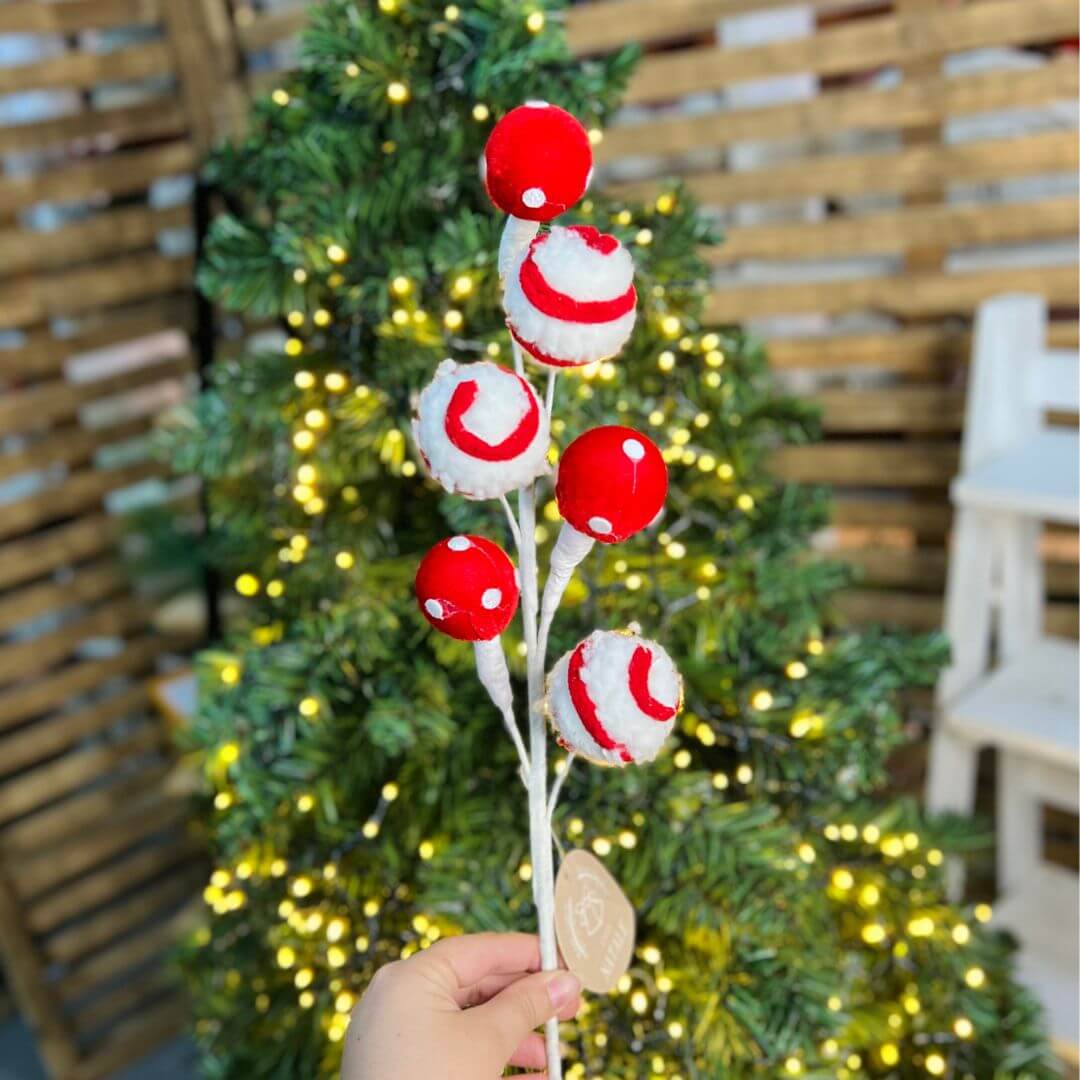 Haste Lollipop – 22cm