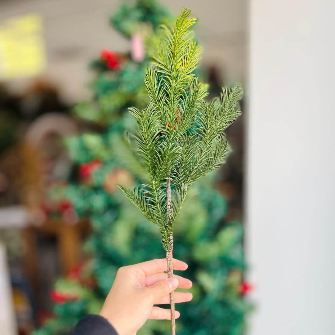 Haste Pinheiro - 49cm