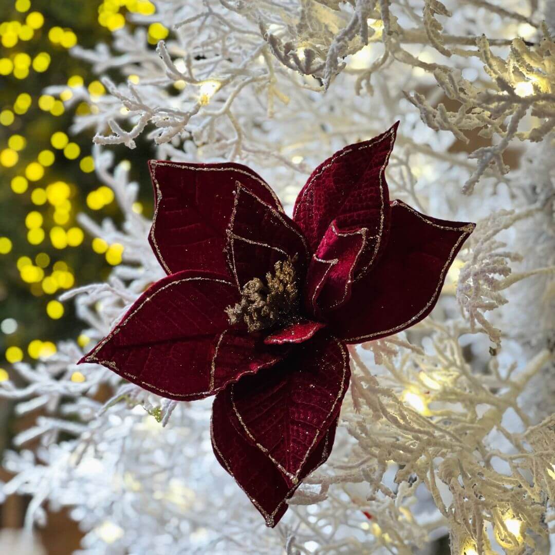 H.bico de Papagaio Aveludado Natal (bordo Glitter Champanhe) 25cm