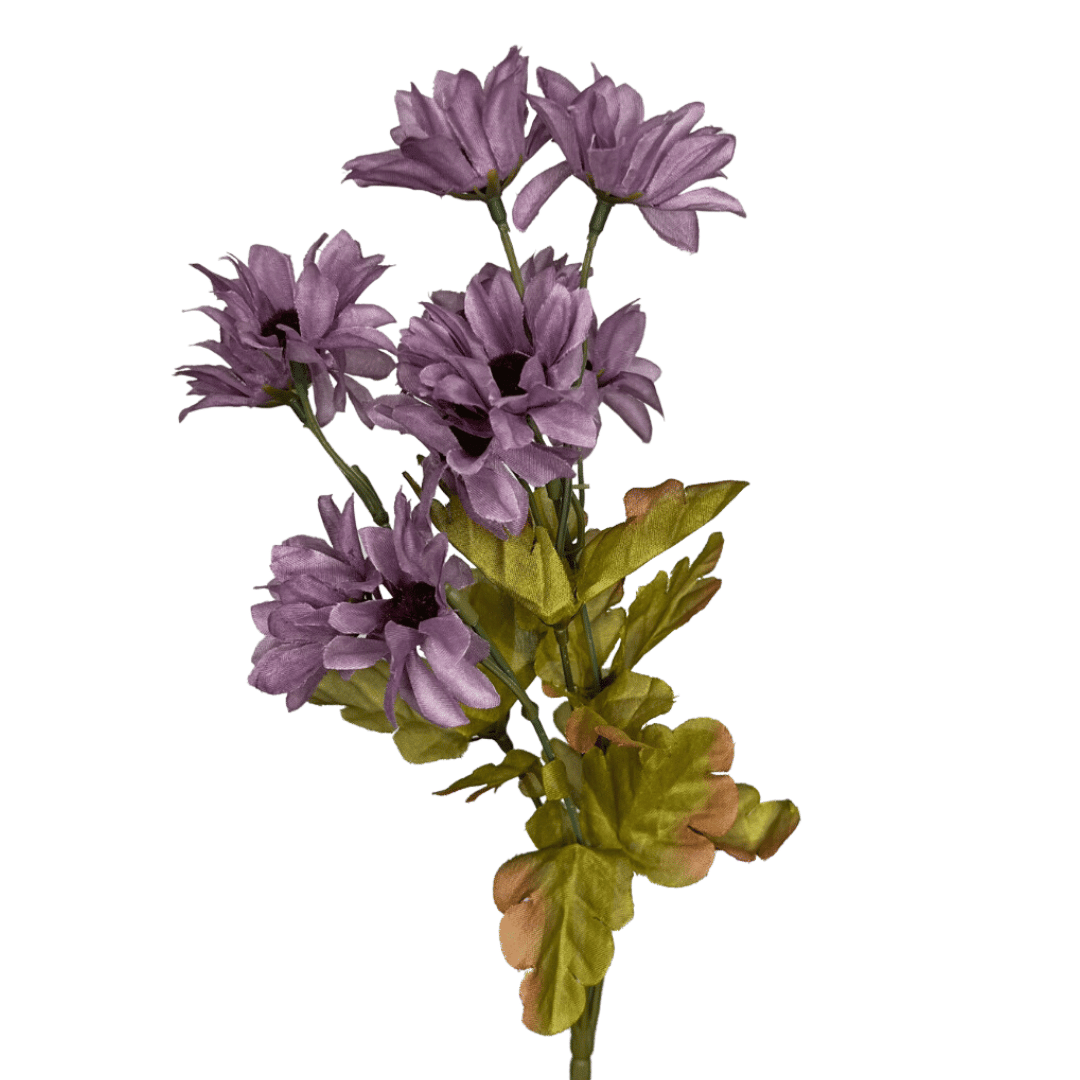 Buque Margarida Lavanda Outono