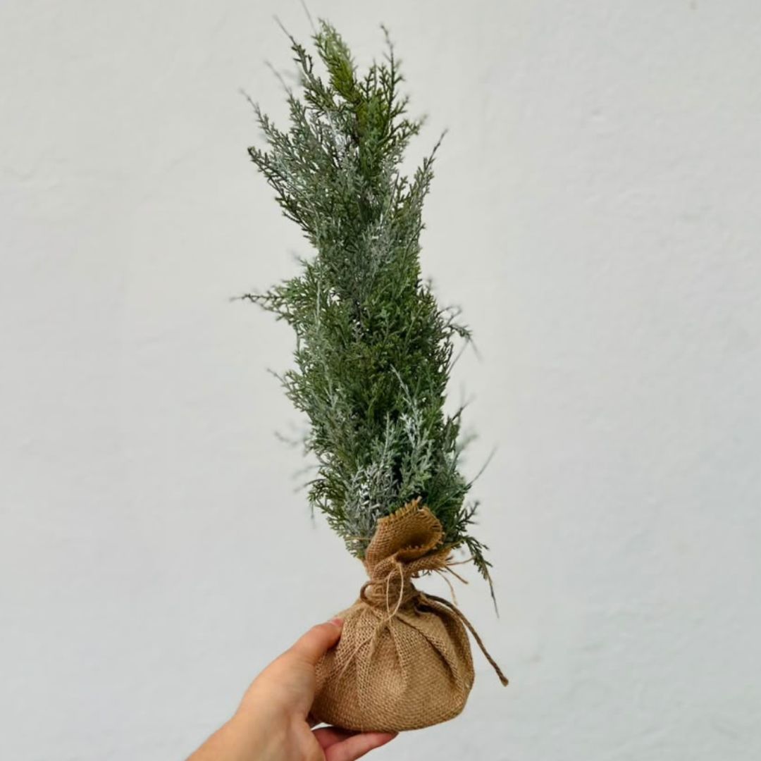 Pinheiro de Mesa Rústico Verde – 61cm