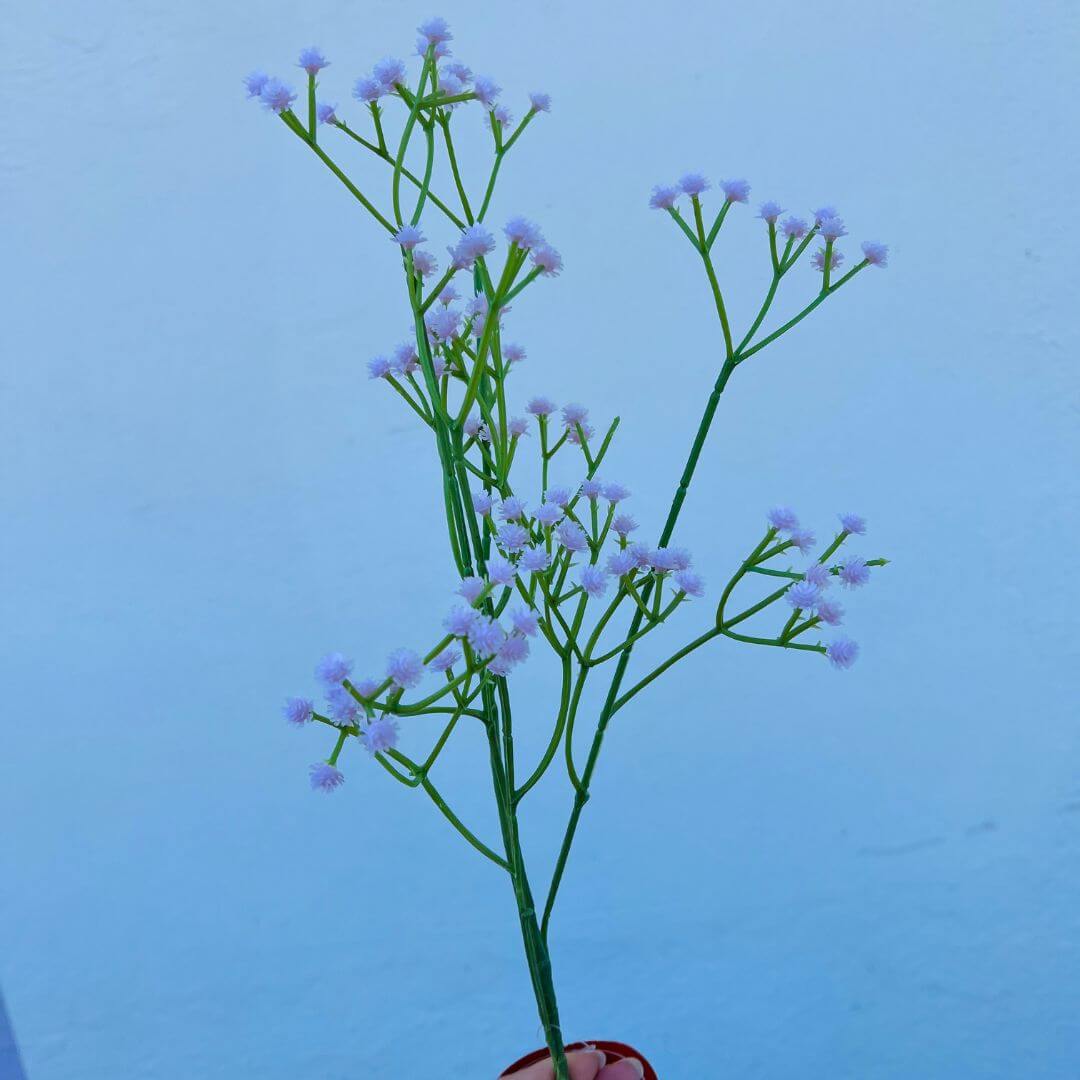 Mosquitinho Rosa – 60cm