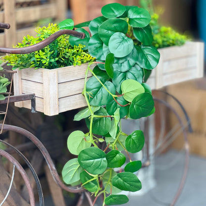 Pendente Pilea - 80cm