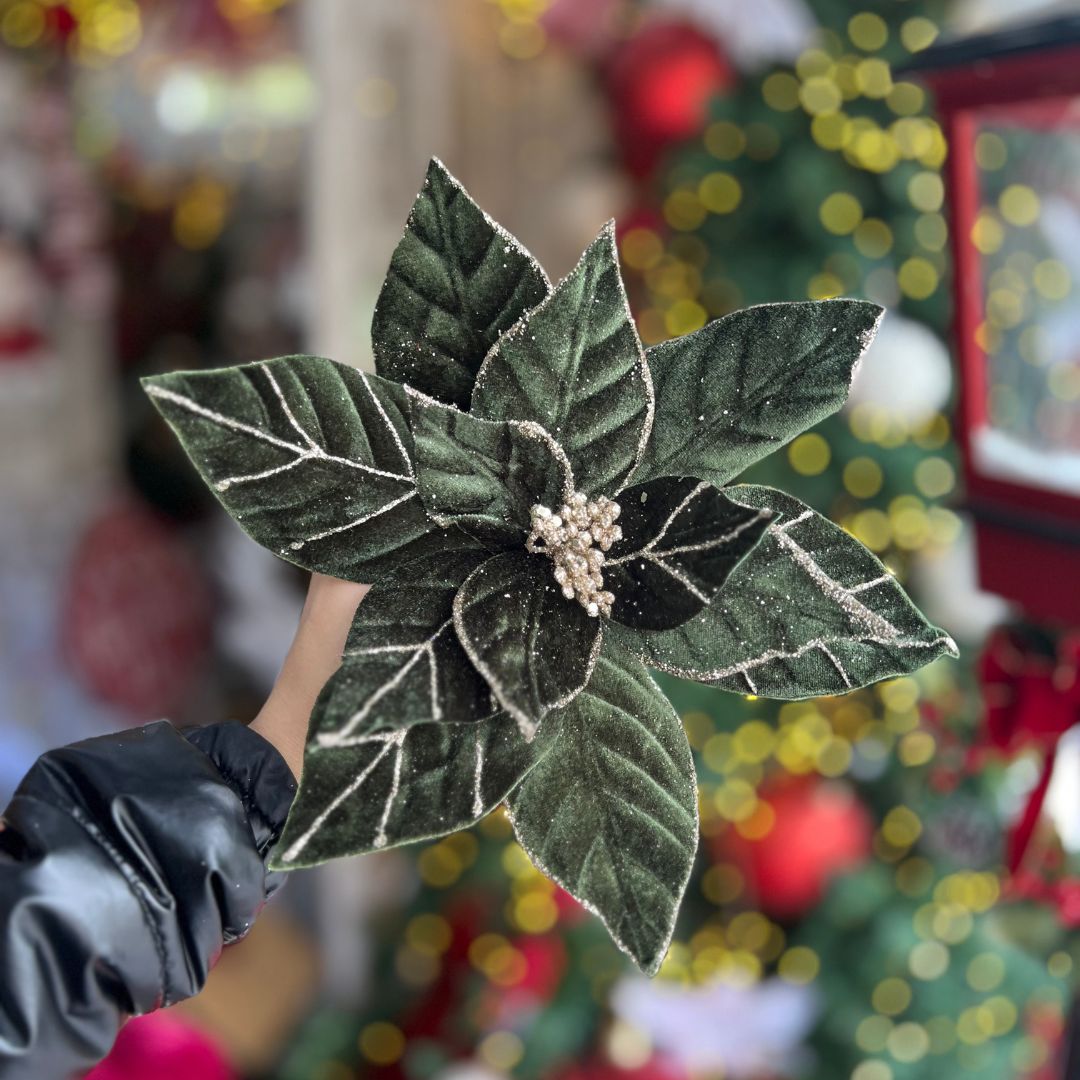 Poinsetia Verde Aveludado Com Borda Champanhe – 64cm