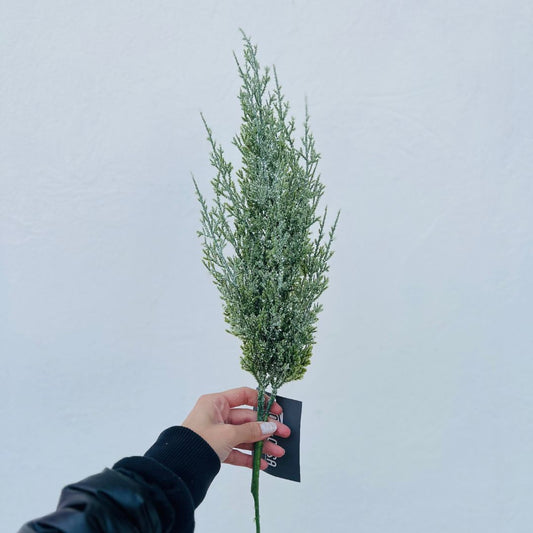 Galho Natural - 59cm