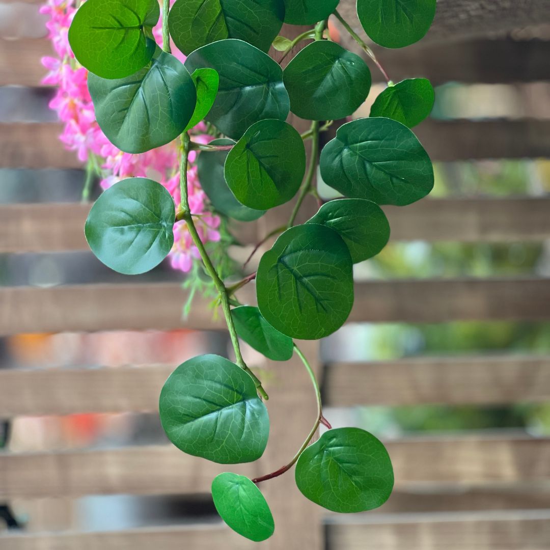 Pendente Pilea - 80cm