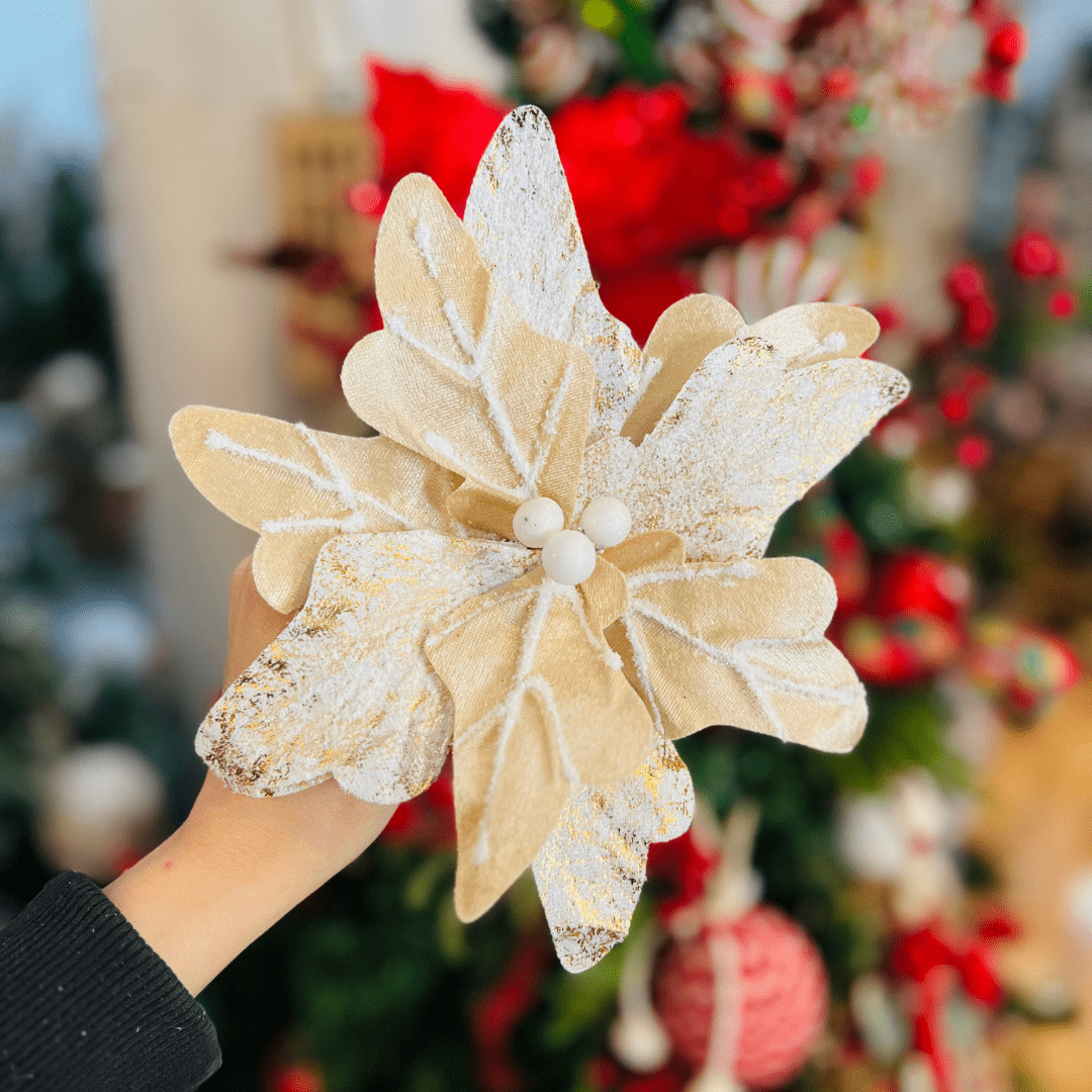 Flor Natalina Poinsetia Champanhe 20x20cm