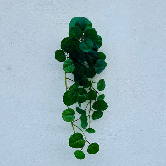 Pendente Pilea - 80cm