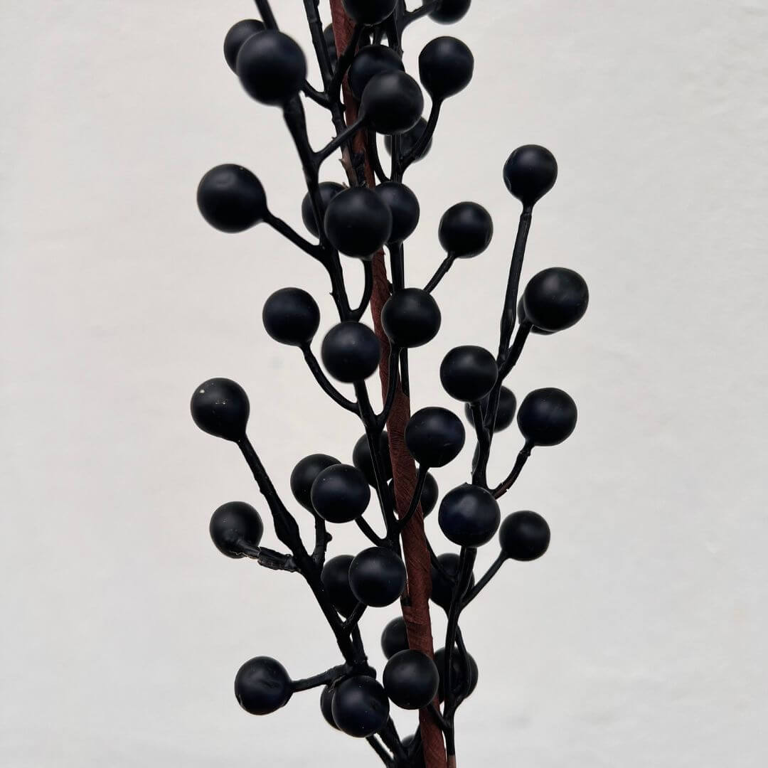 Haste Berry Blueberry Azul – 68cm