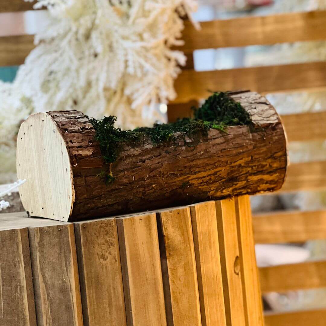 Cesta Tronco Musgo – 27cm