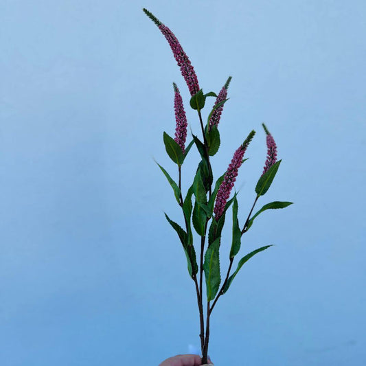 Haste Veronica Rosa – 70cm