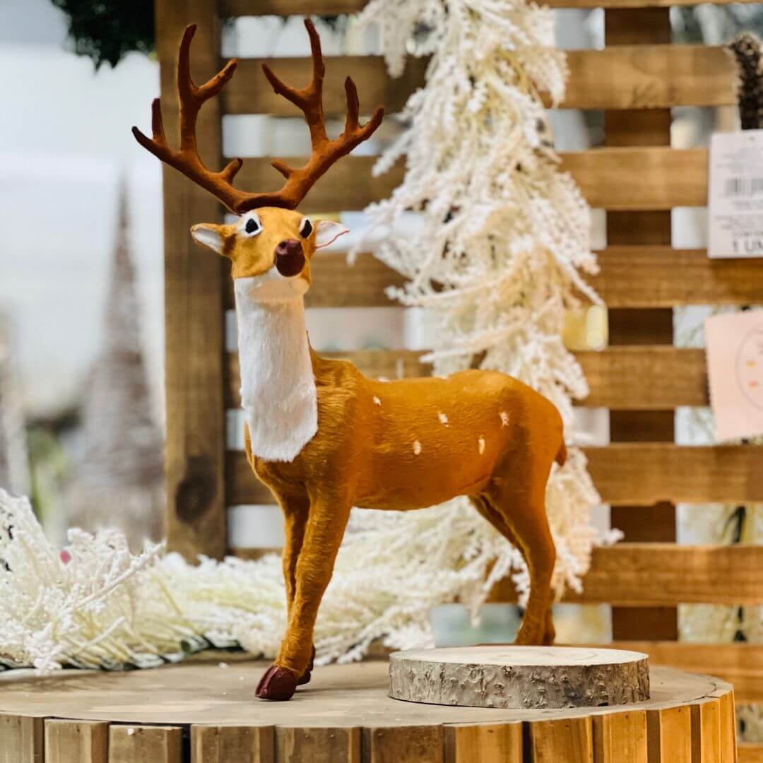 Rena Decorativa | 40 cm