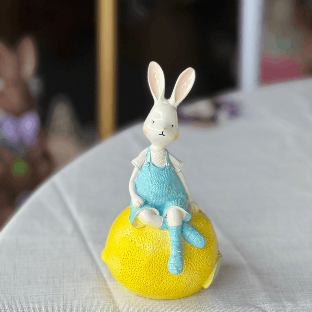 Conjunto Coelhos Sentados nas Frutinhas 18cm - 2 Unidades