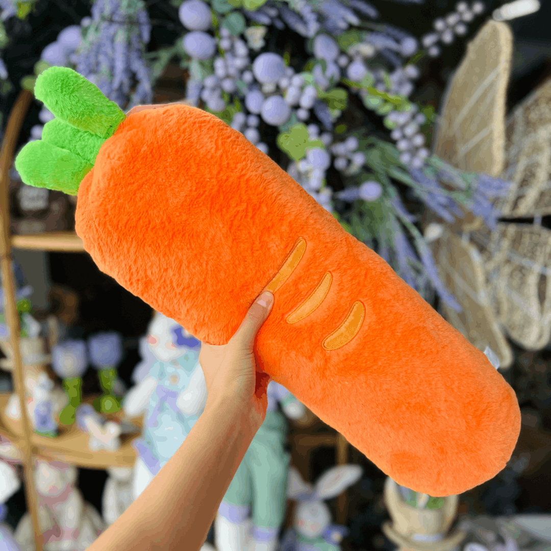 Almofada Cenoura 60cm