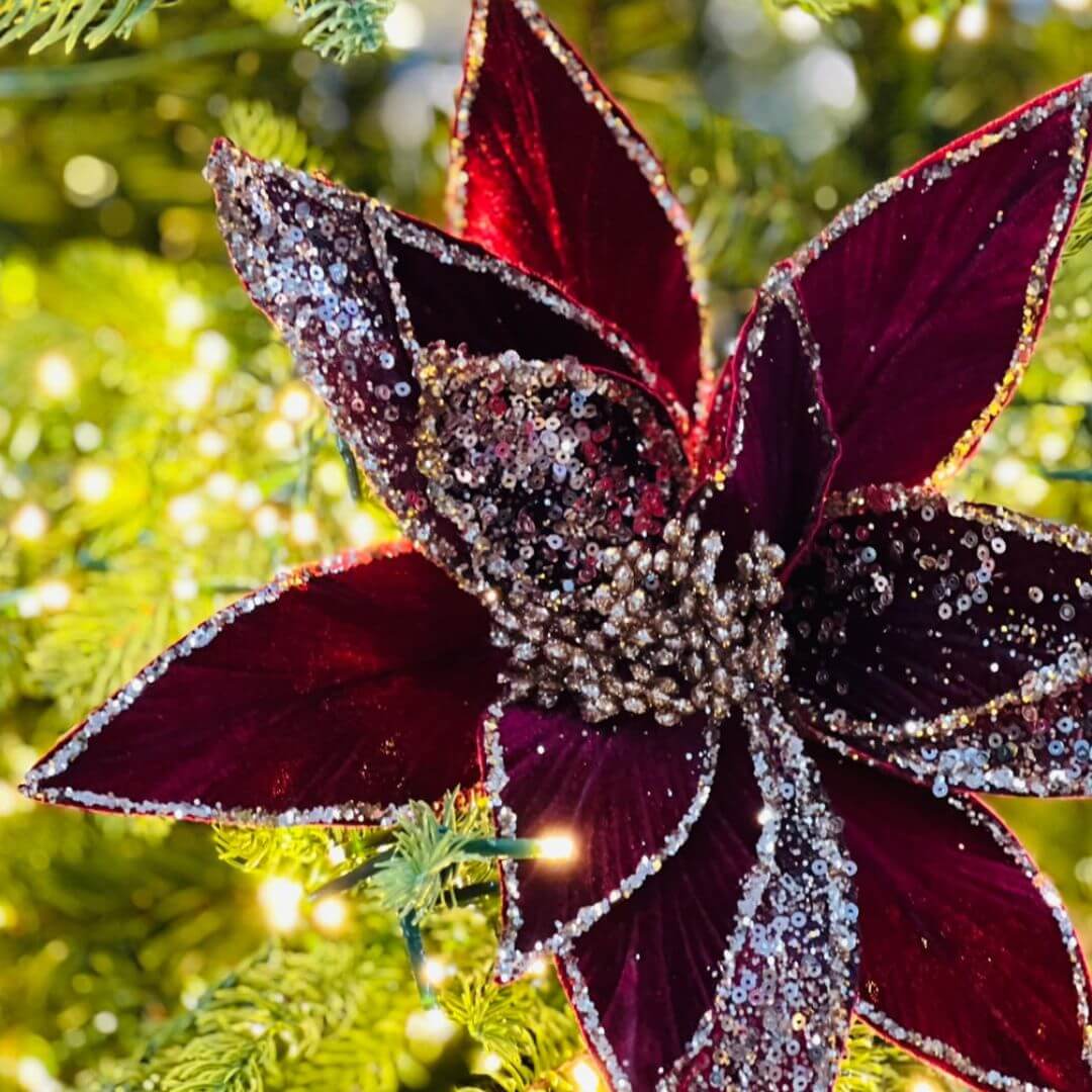 Poinsetia Veludo Vinho Com Glitter x 13 - Alt 45 x Diam 29 Cm