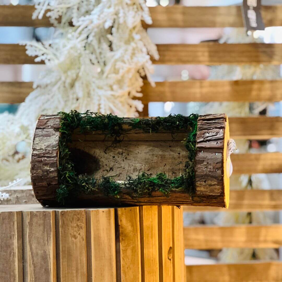 Cesta Tronco Musgo – 27cm