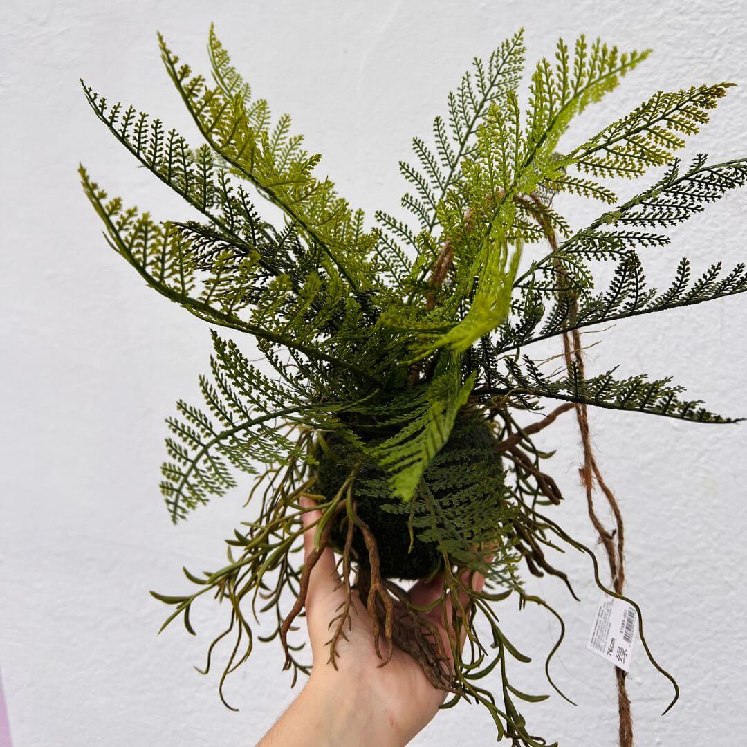 Kokedama Samambaia para Pendurar – 76cm