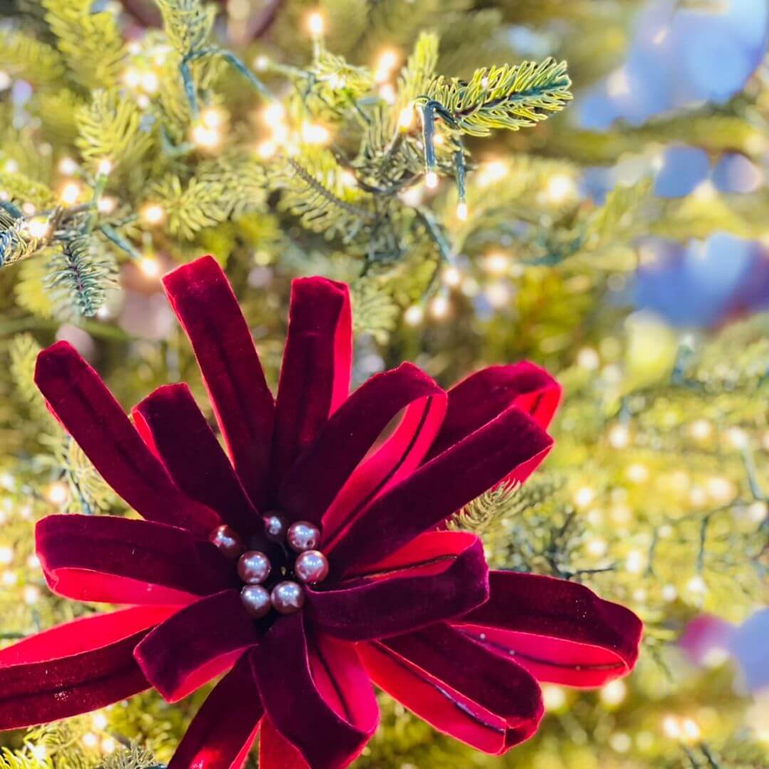 Poinsetia Bordo Com Perolas X16 - Alt 60 Cm Diam 29 Cm