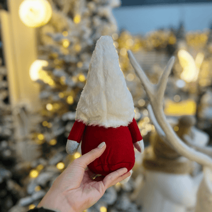Papai Noel Vermelho e Branco 25x17cm