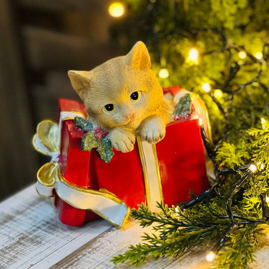Gato na Caixa de Presente | 13,7cm