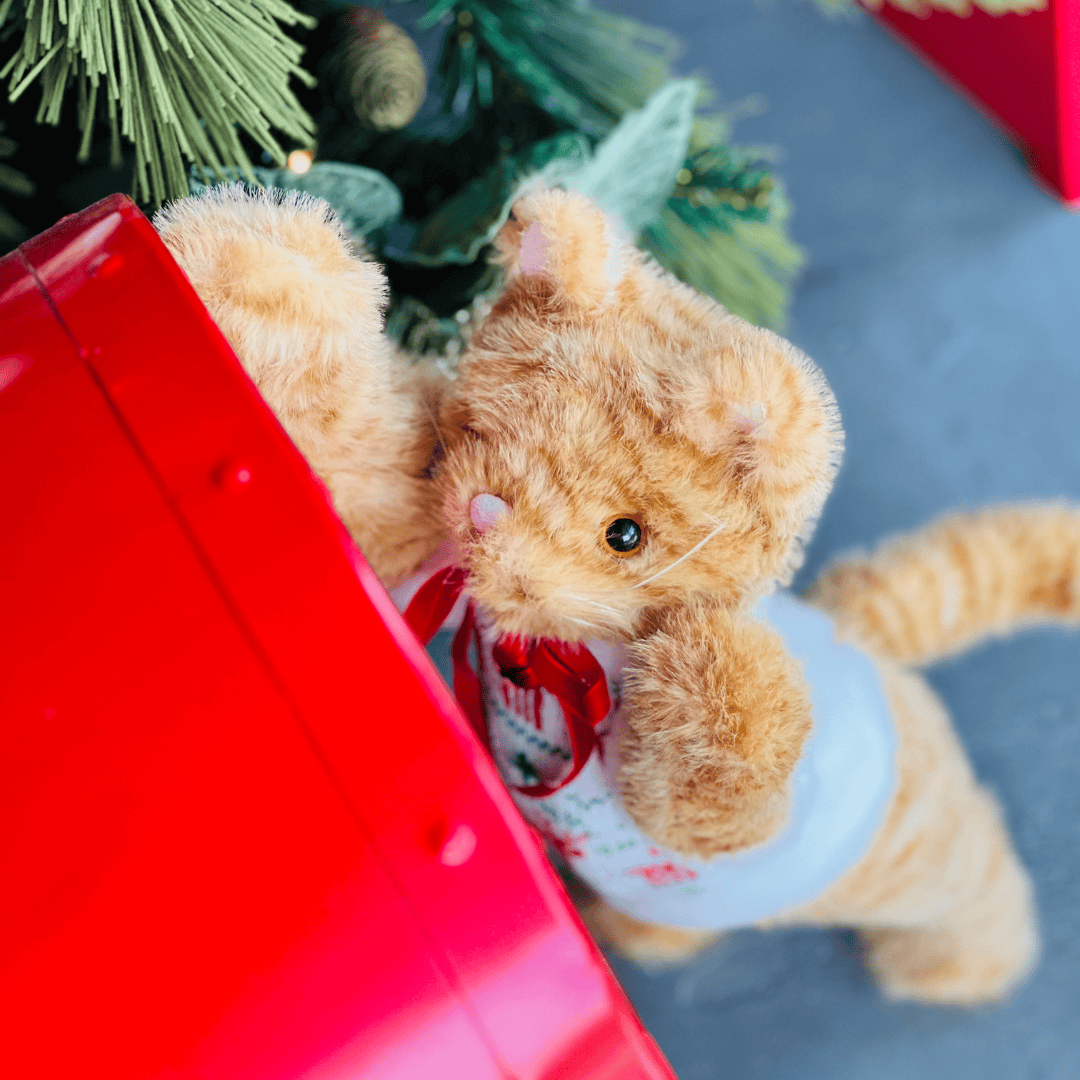 Gatinho Laranja Natalino 57cm