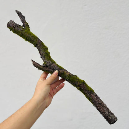Galho Rústico Marrom – 56cm