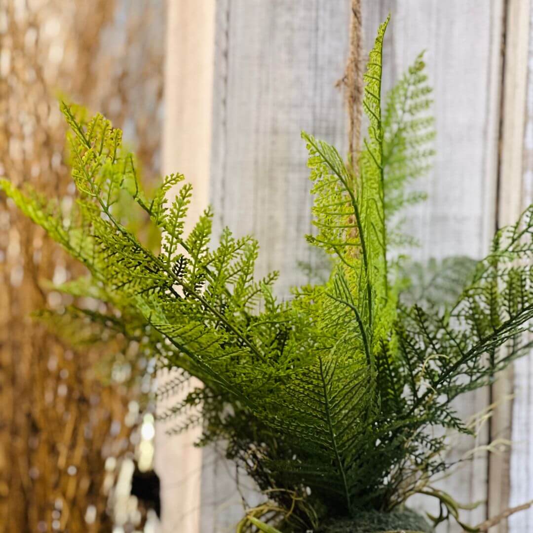 Kokedama Samambaia para Pendurar – 76cm