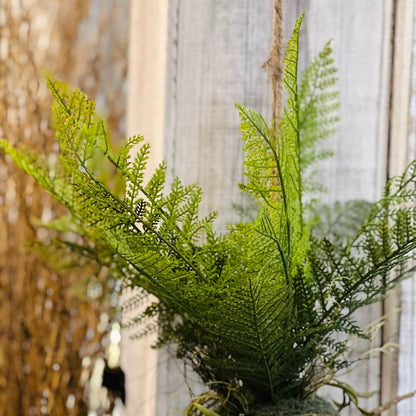 Kokedama Samambaia para Pendurar – 76cm