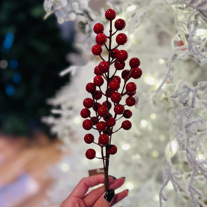 Haste Berry - Alt 40 Cm
