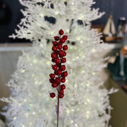 Haste Berry – 55 cm