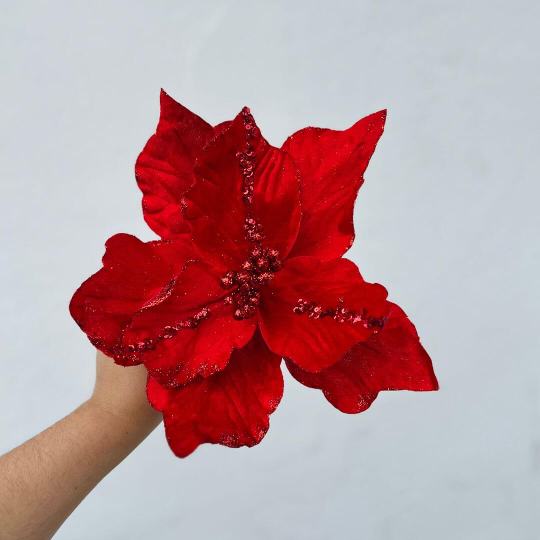 Bico de Papagaio Veludo Vermelho - 53cm