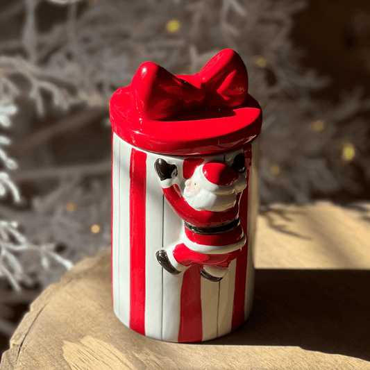 POTE NATALINO PAPAI NOEL – 20cm