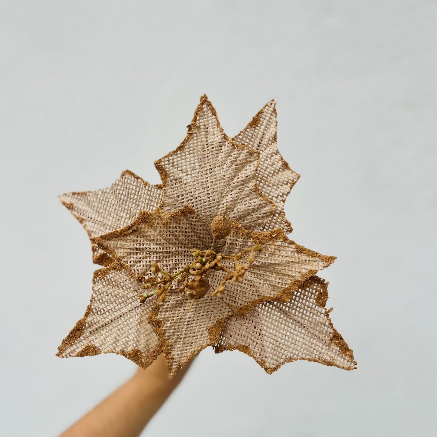 Flor Decorativa Poinsettia Trabalhada Cru | 22 cm