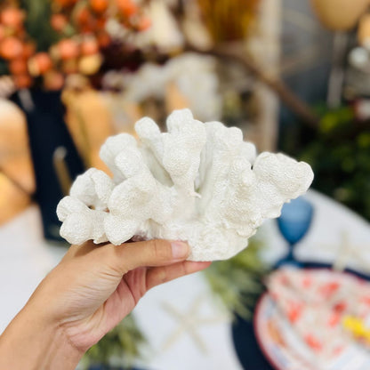 Escultura Coral Em Poliresina - 19cm