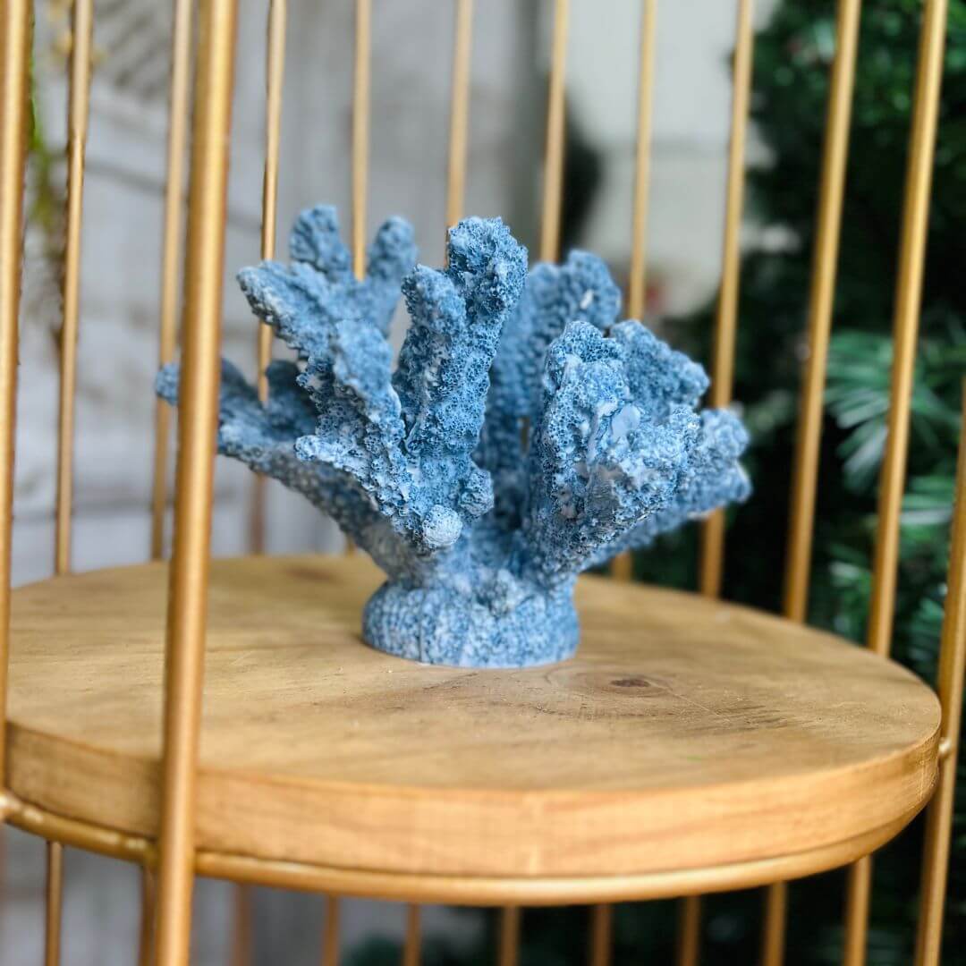 Escultura Decorativa Coral em Poliresina – 14 x 19 x 17cm 